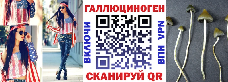 маркетплейс формула  Ессентукская  Галлюциногенные грибы Psilocybe 