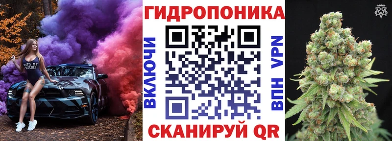 Каннабис сатива магазин продажи Ессентукская